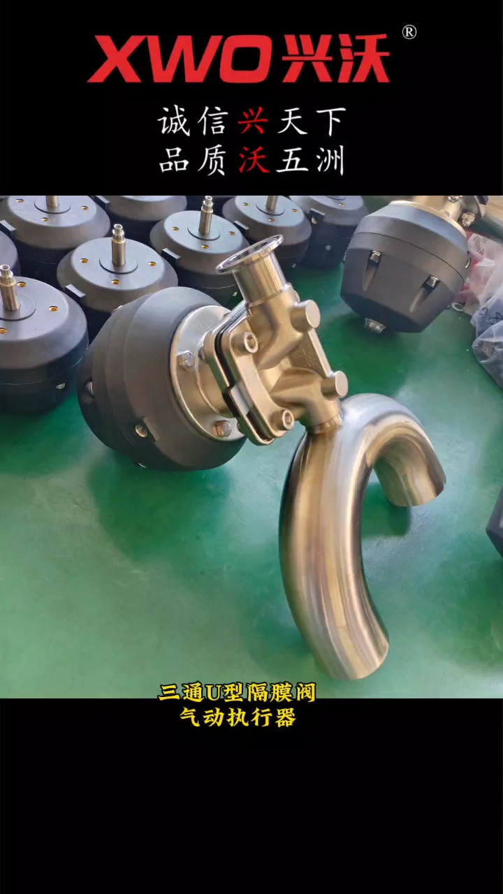 卫生级气动隔膜阀的使用说明及产品特性(图1)